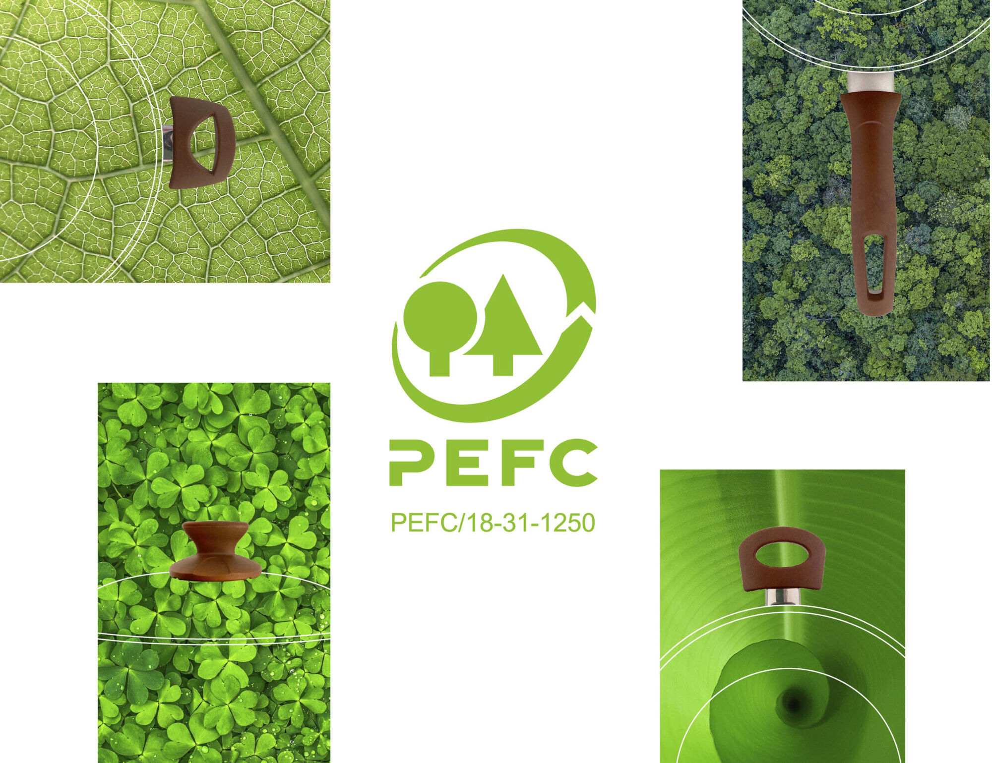 SANMIRO certificata PEFC, un altro passo per l’ambiente.